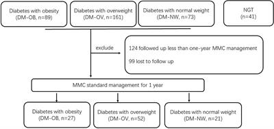 Serum spexin differed in newly diagnosed type 2 diabetes patients according to body mass index and increased with the improvement of metabolic status